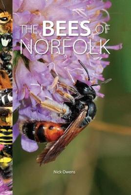 Book cover for The Bees of Norfolk