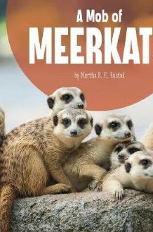 Cover of Animal Groups Mob of Meerkats