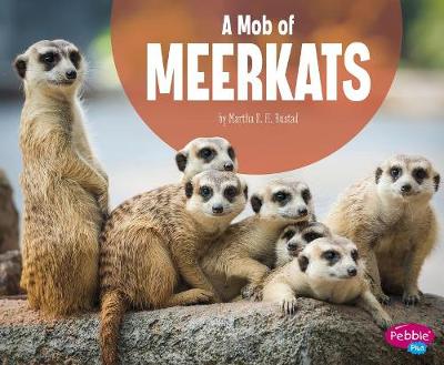 Book cover for A Mob of Meerkats (Animal Groups)