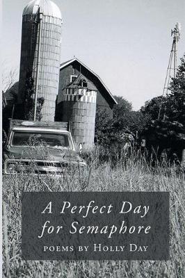 Book cover for A Perfect Day for Semaphore