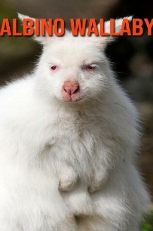 Cover of Albino Wallaby