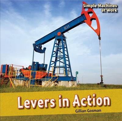 Book cover for Levers in Action