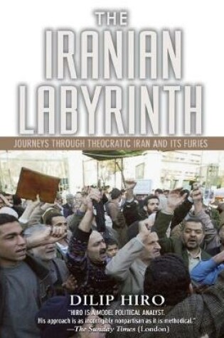 Cover of The Iranian Labyrinth