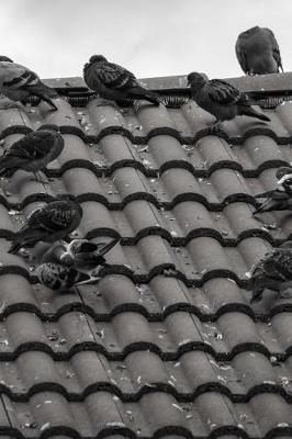 Book cover for Pigeons on a Tile Roof Black and White Journal