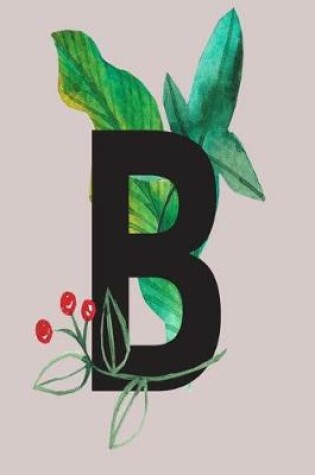 Cover of B