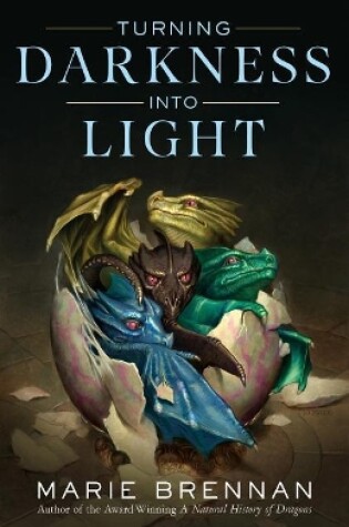 Cover of Turning Darkness Into Light