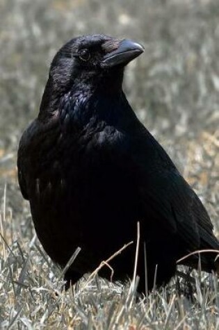 Cover of Cool Glossy Black Raven Bird Journal