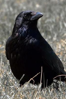 Book cover for Cool Glossy Black Raven Bird Journal