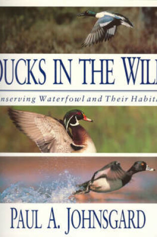 Cover of Ducks in the Wild