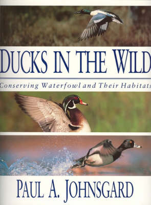 Book cover for Ducks in the Wild