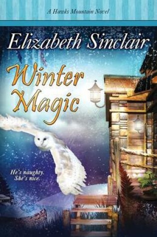 Cover of Winter Magic