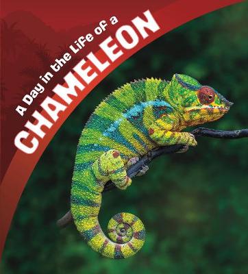 Cover of A Day in the Life of a Chameleon