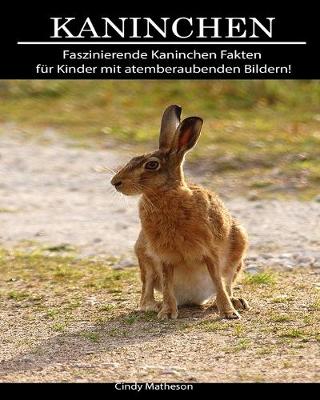 Book cover for Kaninchen