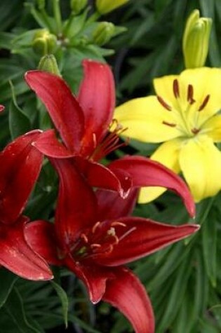 Cover of 2020 Weekly Planner Flowers Pretty Red Yellow Lilies 134 Pages