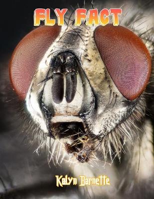 Book cover for Fly Fact