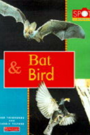 Cover of Spot the Difference: Bat and Bird        (Paperback)