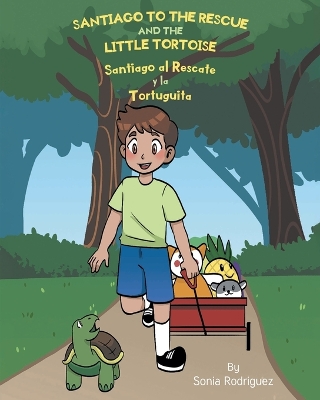 Book cover for Santiago to the Rescue and the Little Tortoise