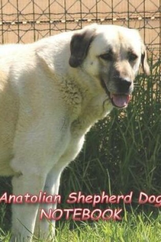Cover of Anatolian Shepherd Dog NOTEBOOK