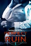 Book cover for Perfect Ruin