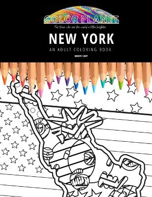 Book cover for New York