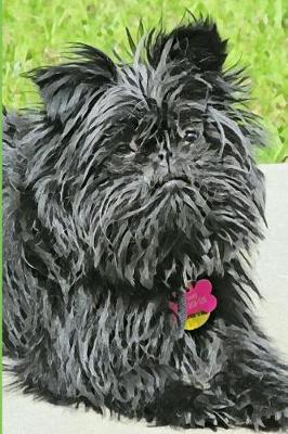 Book cover for Affenpinscher Dog Lovers Blank Lined Journal Notebook