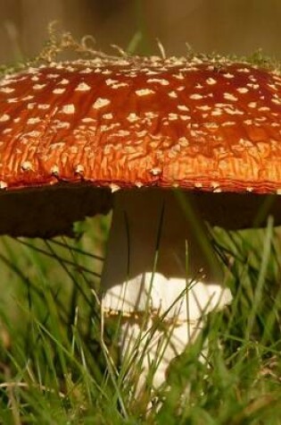 Cover of Large Fly Agaric Mushroom, for the Love of Nature