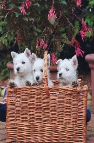 Cover of Three Puppies Basket Dog Photo Journal