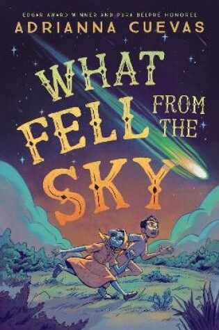 Cover of What Fell from the Sky