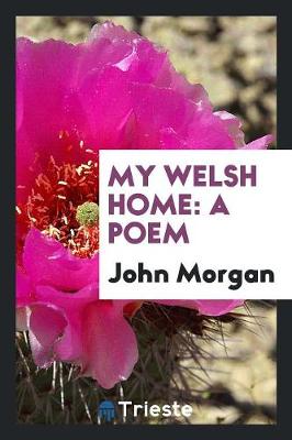 Book cover for My Welsh Home