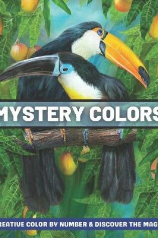 Cover of Mystery Colors Creative Color By Number & Discover The Magic!