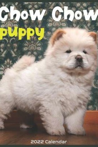 Cover of Chow Chow Puppy 2022 Calendar