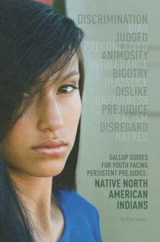 Cover of Native American