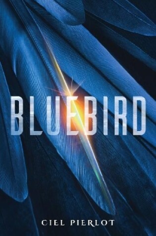 Cover of Bluebird