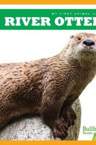 Cover of River Otters