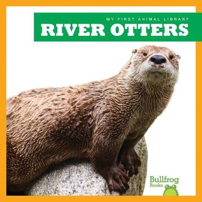 Book cover for River Otters