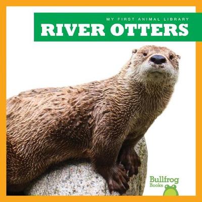 Cover of River Otters