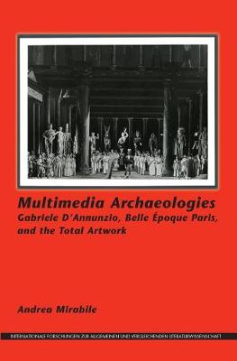 Book cover for Multimedia Archaeologies.