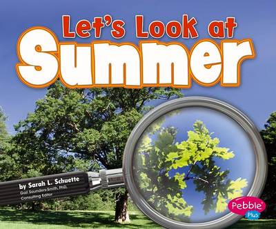 Book cover for Let's Look at Summer