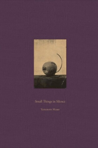 Cover of Masao Yamamoto: Small Things in Silence