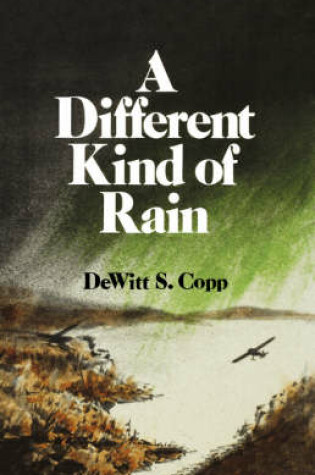 Cover of A Different Kind of Rain