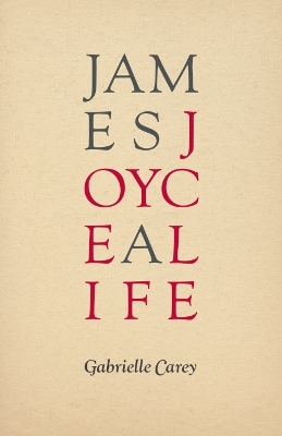 Book cover for James Joyce