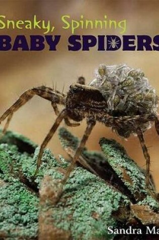 Cover of Sneaky, Spinning Baby Spiders