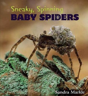 Book cover for Sneaky, Spinning Baby Spiders