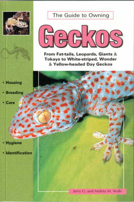 Book cover for Geckos