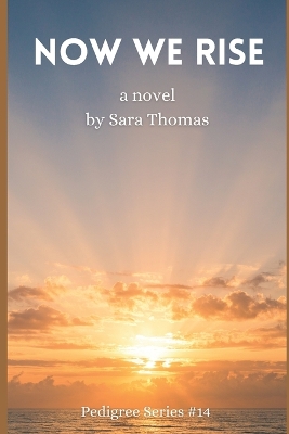 Book cover for Now We Rise