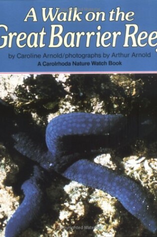 Cover of A Walk on the Great Barrier Reef