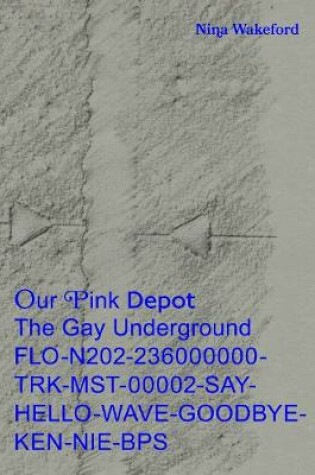 Cover of Our Pink Depot