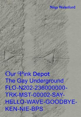 Book cover for Our Pink Depot