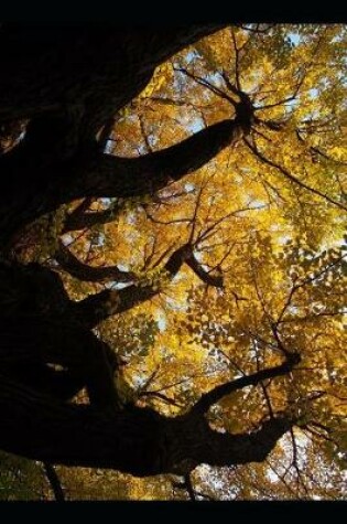 Cover of Ginkgo Biloba Tree with Autumn Leaves Journal