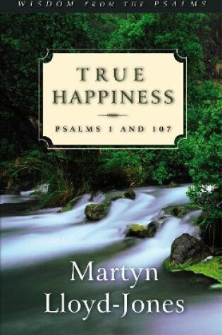 Cover of True Happiness